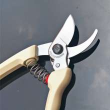 Alice ARS Alice 130DX Branch Cut Flower Scissor. Gardening shears. Garden tool scissors. Knife pruning shears