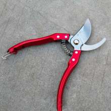 Self-produced and sold SK-5 high carbon steel fruit branch scissors. Scissors. knife. Fruit tree shears. Pruning shears. Garden shears gardening tools thick branches shears 168