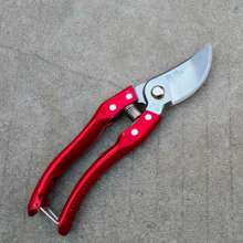 Self-produced and sold SK-5 high carbon steel fruit branch scissors. Scissors. knife. Fruit tree shears. Pruning shears. Garden shears gardening tools thick branches shears 168