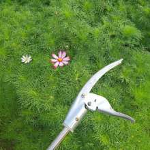 1 m 2 m 2.5 m 3 m stainless steel pole high branch shears. Scissors. Knife. Thin fruit cut high. Empty cut gardening shears. Branch labor saving shears