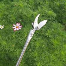 1 m 2 m 2.5 m 3 m stainless steel pole high branch shears. Scissors. Knife. Thin fruit cut high. Empty cut gardening shears. Branch labor saving shears