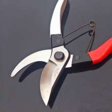 Fruit branch cut gardening shears. Genuine butterfly 103D fruit tree pruning shears. Branch shears. Garden pruning shears