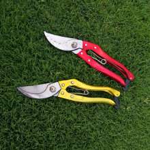 Taiwan's German help sk-5 fruit branch scissors. Scissors. Garden Tools . Fruit tree pruning shears. Garden scissors