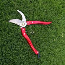 Taiwan's German help sk-5 fruit branch scissors. Scissors. Garden Tools . Fruit tree pruning shears. Garden scissors