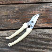 Sales Liu Sheng 130 pruning shears. Garden scissors. Cut flowers. Pruning tool fruit tree rough knife gardening garden branch shears