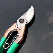 Authentic name diamond 170 fruit branch scissors. Pruning shears. Green trimming. Tool picking fruit picking flower branch horticultural fruit tree scissors