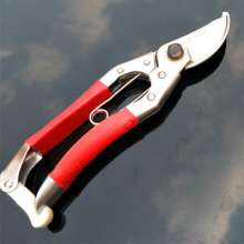 Authentic name diamond 170 fruit branch scissors. Pruning shears. Green trimming. Tool picking fruit picking flower branch horticultural fruit tree scissors