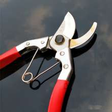Authentic name diamond 170 fruit branch scissors. Pruning shears. Green trimming. Tool picking fruit picking flower branch horticultural fruit tree scissors