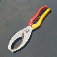 Supply double-color handle fruit tree ring cutting scissors. Scissors. Ring cutter. Ring cutting. Ring stripping. Cut bark scissors