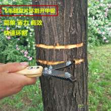Scud new double-piece ring saw. Jujube ring cutting. Open the chain saw. Knife fruit tree peeling tool. Cut bark ring cutting saw
