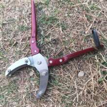 Supply Tan three small two-piece. scissors. knife. Fruit tree ring cutting scissors. Ring cutter. Ring cutting, ring stripping, cutting bark scissors