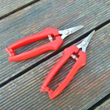 Stainless steel short straight grape shears. Orange scissors. knife. Plant tools. Fruit picking, fruit picking, thinning and fruit cutting. Orange shears