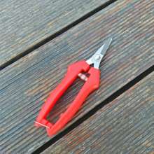 Stainless steel short straight grape shears. Orange scissors. knife. Plant tools. Fruit picking, fruit picking, thinning and fruit cutting. Orange shears