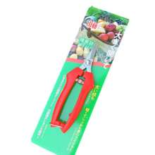 Stainless steel short straight grape shears. Orange scissors. knife. Plant tools. Fruit picking, fruit picking, thinning and fruit cutting. Orange shears
