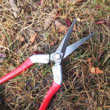Jiuicang lengthened the fruit and thinned the fruit. scissors. knife. Thin fruit cut grapes cut and cut. Thinning scissors. Gardening shears