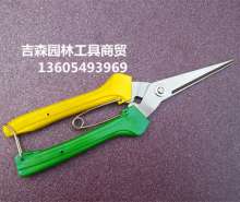 Thin fruit cut. Stainless steel picking scissors. scissors. Knife grape cut orange cut. Fruit cut fruit and vegetable cut. Fruit branch shear