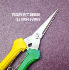 Thin fruit cut. Stainless steel picking scissors. scissors. Knife grape cut orange cut. Fruit cut fruit and vegetable cut. Fruit branch shear