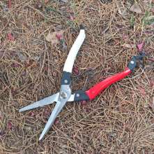Kujiichiro 10-inch fruit tree thin fruit scissors gardening scissors sprout scissors sparse flower scissors flower tree sparse scissors grape branch scissors s503