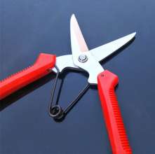 South Korea cut universal cut. Pick the fruit and cut it. Gardening pruning shears. Fruit tree scissors. Grape shears. Thinning scissors. Garden Tools