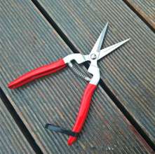 Stainless steel thin fruit shears. Pick the fruit and cut it. Grape shears. Tomato shears. Straight head thinning shears. Cut. Orange cut