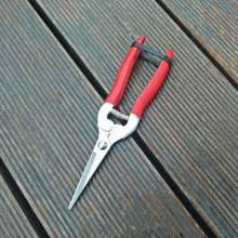 Stainless steel thin fruit shears. Pick the fruit and cut it. Grape shears. Tomato shears. Straight head thinning shears. Cut. Orange cut