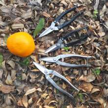 Supply new fruit pickers. Triangular Luoding shears. Scissors. Thin fruit scissors. Pick the fruit and cut it. Orange cut. Orange cut grapefruit cut