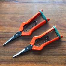 Korean scissors. Universal scissors. Pick the fruit and cut it. Gardening pruning shears. Fruit tree scissors. Grape cut. Thinning scissors. Garden Tools