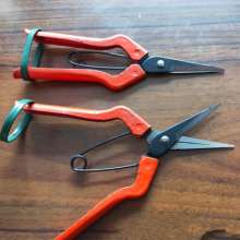 Korean scissors. Universal scissors. Pick the fruit and cut it. Gardening pruning shears. Fruit tree scissors. Grape cut. Thinning scissors. Garden Tools