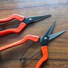 Korean scissors. Universal scissors. Pick the fruit and cut it. Gardening pruning shears. Fruit tree scissors. Grape cut. Thinning scissors. Garden Tools