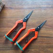 Korean scissors. Universal scissors. Pick the fruit and cut it. Gardening pruning shears. Fruit tree scissors. Grape cut. Thinning scissors. Garden Tools