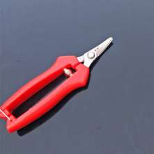 Famous diamond thin fruit scissors.   Scissors.   Pick the fruit and cut it.  Grape cut. Tomato shears.   Thin fruit scissors. cut. Orange cut