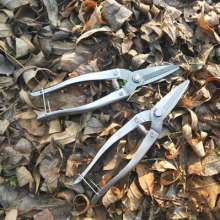 Extra large triangular Luoding shears. Thin fruit cut. Thin fruit scissors. Pick the fruit and cut it. Orange cut. Orange cut. Grapefruit shears
