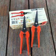 South Korea cut universal cut. Pick the fruit and cut it. Gardening pruning shears. Fruit tree scissors. Grape cut. Thinning scissors. Garden Tools