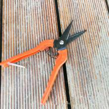 South Korea cut universal cut. Pick the fruit and cut it. Gardening pruning shears. Fruit tree scissors. Grape cut. Thinning scissors. Garden Tools