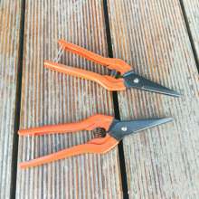 South Korea cut universal cut. Pick the fruit and cut it. Gardening pruning shears. Fruit tree scissors. Grape cut. Thinning scissors. Garden Tools