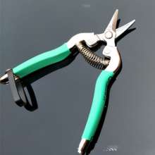 Famous diamond thin fruit scissors. Stainless steel picking scissors. Scissors. Grape cut. Orange cut. Fruit cuts. Fruit and vegetable scissors. Tomato shears