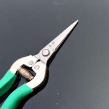 Famous diamond thin fruit cut. Pick the fruit and cut it. Grape cut. Orange shears. Fruit cuts. Fruit and vegetable scissors. Fruit branch shear