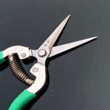 Famous diamond thin fruit cut. Pick the fruit and cut it. Grape cut. Orange shears. Fruit cuts. Fruit and vegetable scissors. Fruit branch shear
