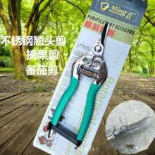 Famous diamond thin fruit cut. Scissors. Stainless steel picking scissors. Grape cut. Orange shears. Fruit cut. Fruit and vegetable scissors. Tomato shears