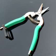 Famous diamond thin fruit cut. Scissors. Stainless steel picking scissors. Grape cut. Orange shears. Fruit cut. Fruit and vegetable scissors. Tomato shears