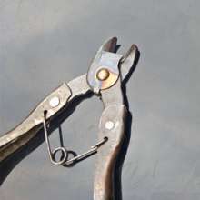 The handle of the stalk is cut. Orange orange scissors. Fruit picking. Pick the fruit and cut it. Apple pear scissors. The cocky fruit puts the scissors. Plant shear