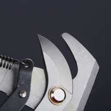 Evergreen tree branches. Scissors. Knife. Green garden pruning shears. Alloy steel with rope high branch shears.