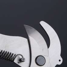 Supply evergreen tree branches. scissors. Knife 0022 alloy steel picking garden pruning shears. Green garden high branch shears