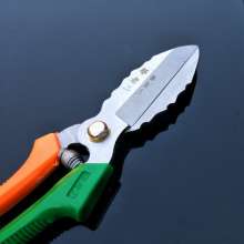 Special scissors for garlic. Scissors. knife. Garlic cut garlic head scissors. A lot of garlic knives. Garlic special scissors