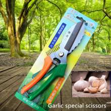 Special scissors for garlic. Scissors. knife. Garlic cut garlic head scissors. A lot of garlic knives. Garlic special scissors