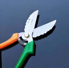 Special scissors for garlic. Scissors. knife. Garlic cut garlic head scissors. A lot of garlic knives. Garlic special scissors