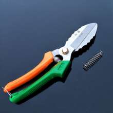 Special scissors for garlic. Scissors. knife. Garlic cut garlic head scissors. A lot of garlic knives. Garlic special scissors