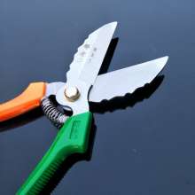 Special scissors for garlic. Scissors. knife. Garlic cut garlic head scissors. A lot of garlic knives. Garlic special scissors