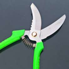 Tian Laosan elbow garlic scissors. Scissors. Knife Onion garlic special scissors. Cut. . Garlic cloves