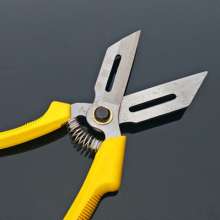 knife. New garlic special scissors. Garlic shears. Garlic shears. A lot of cuts. Garlic knife. Garlic special scissors